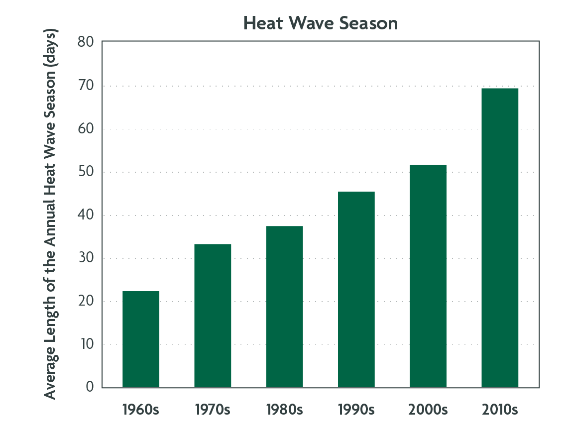 heatwave-season
