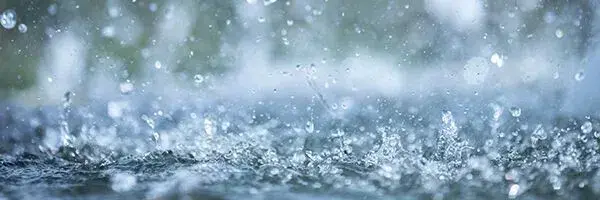 600-raininsurance