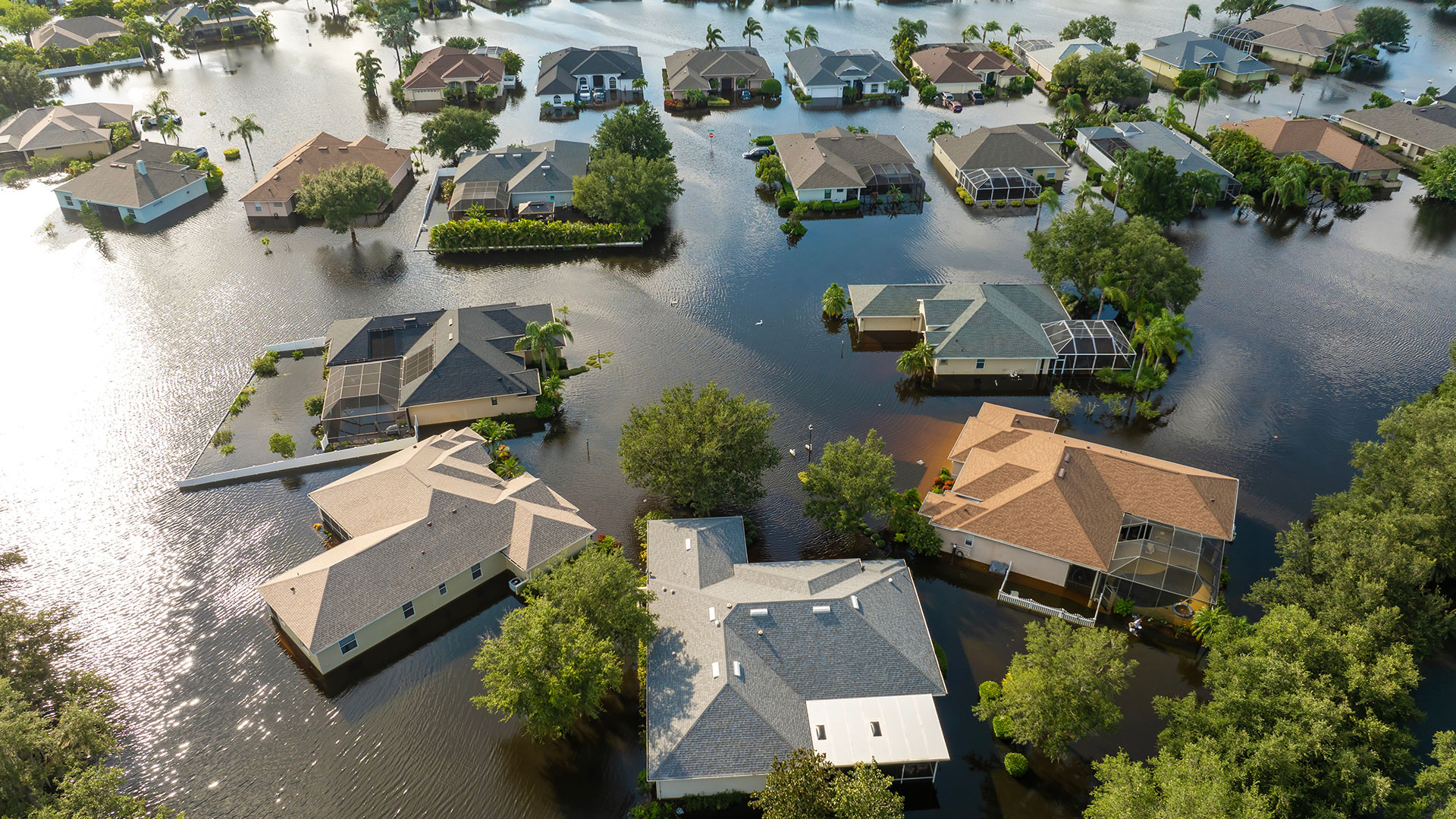 Flood Insurance Trends Approaching 2026