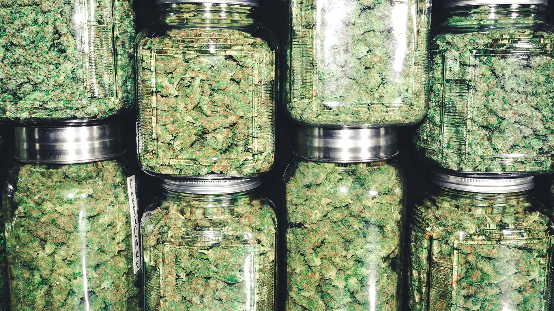 Cannabis Product Recalls Can Cripple Operators