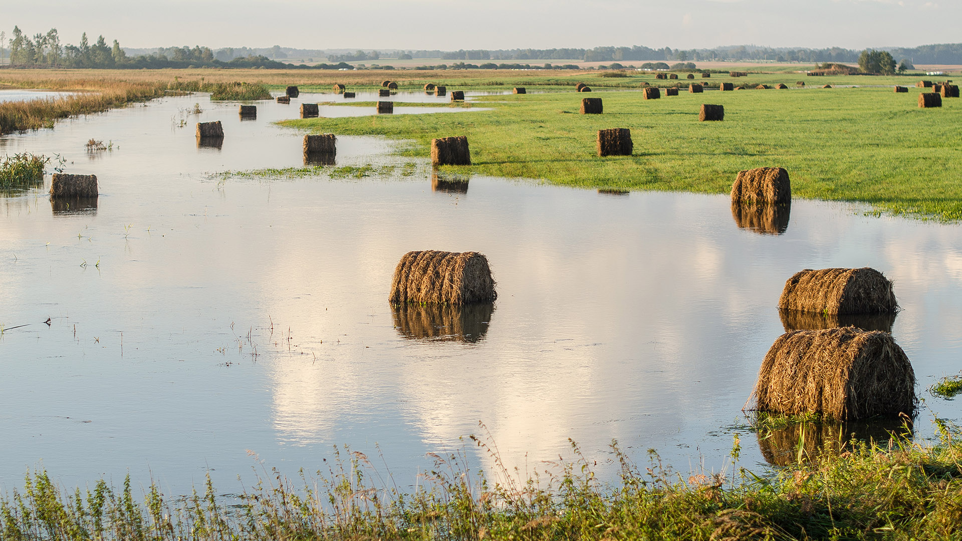 The Seven Most Common Risks in Agribusiness