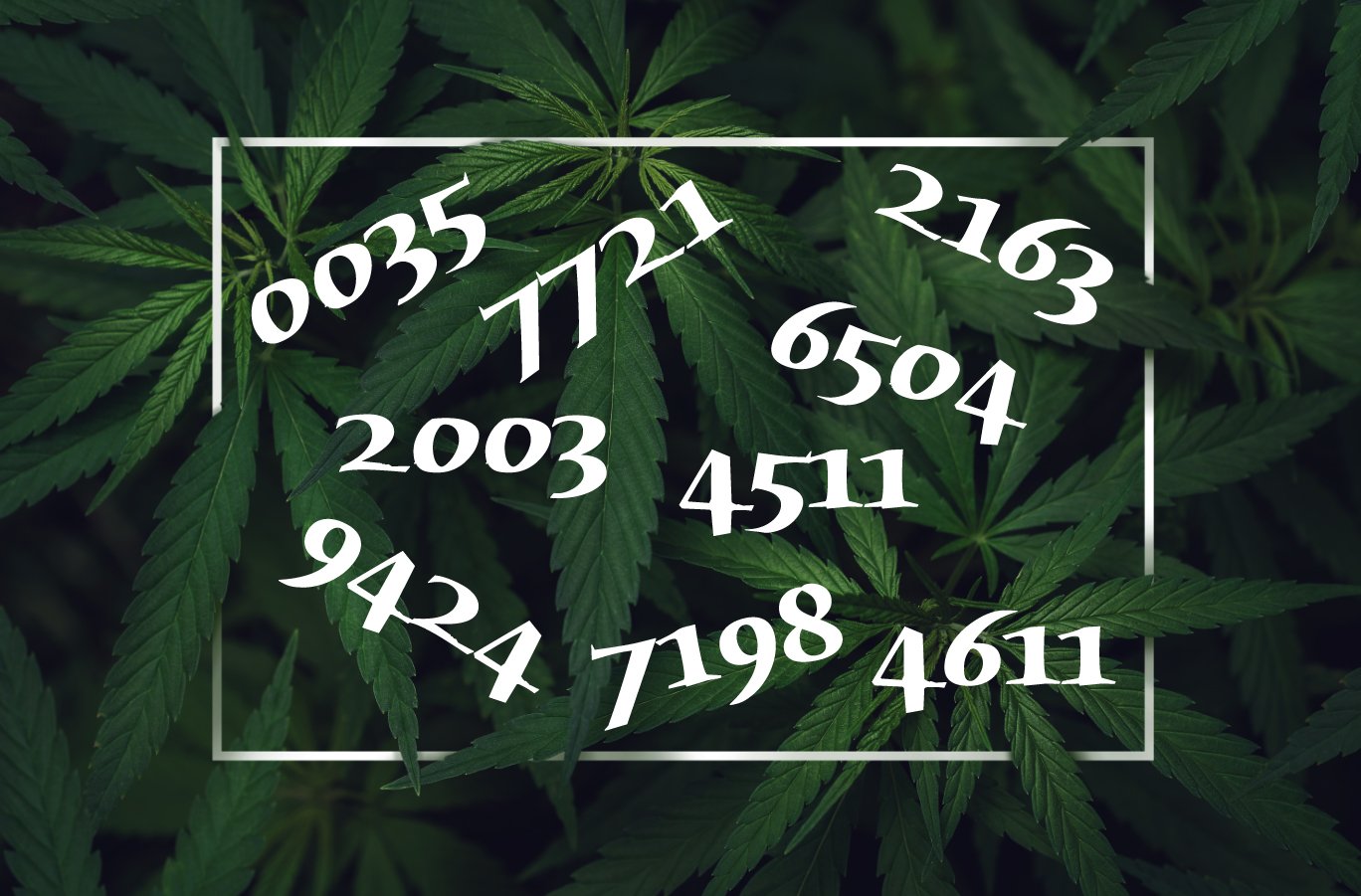 Workers’ Compensation Cannabis Class Code Roulette