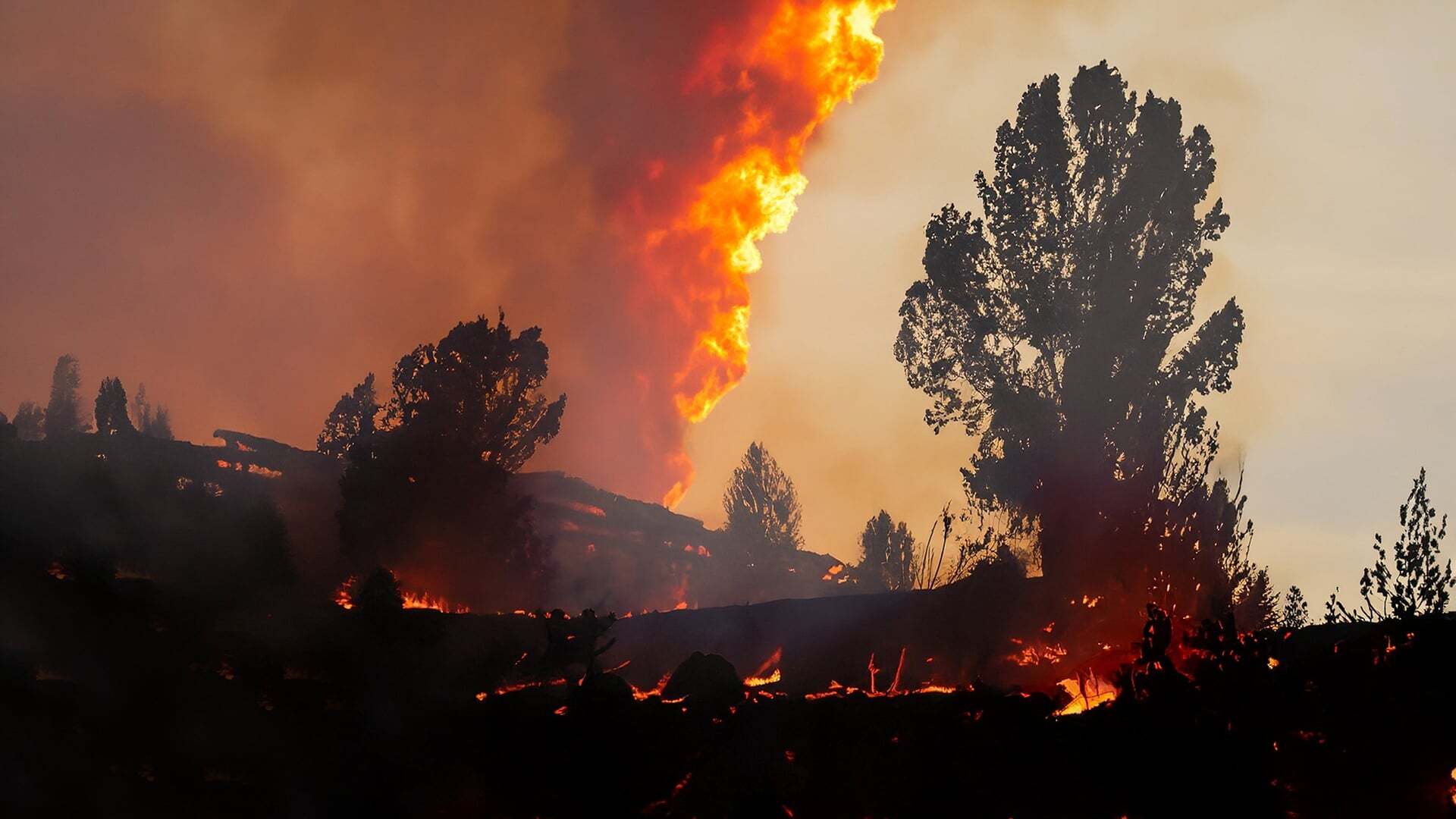 Wildfire Insurance Is Being Rewritten