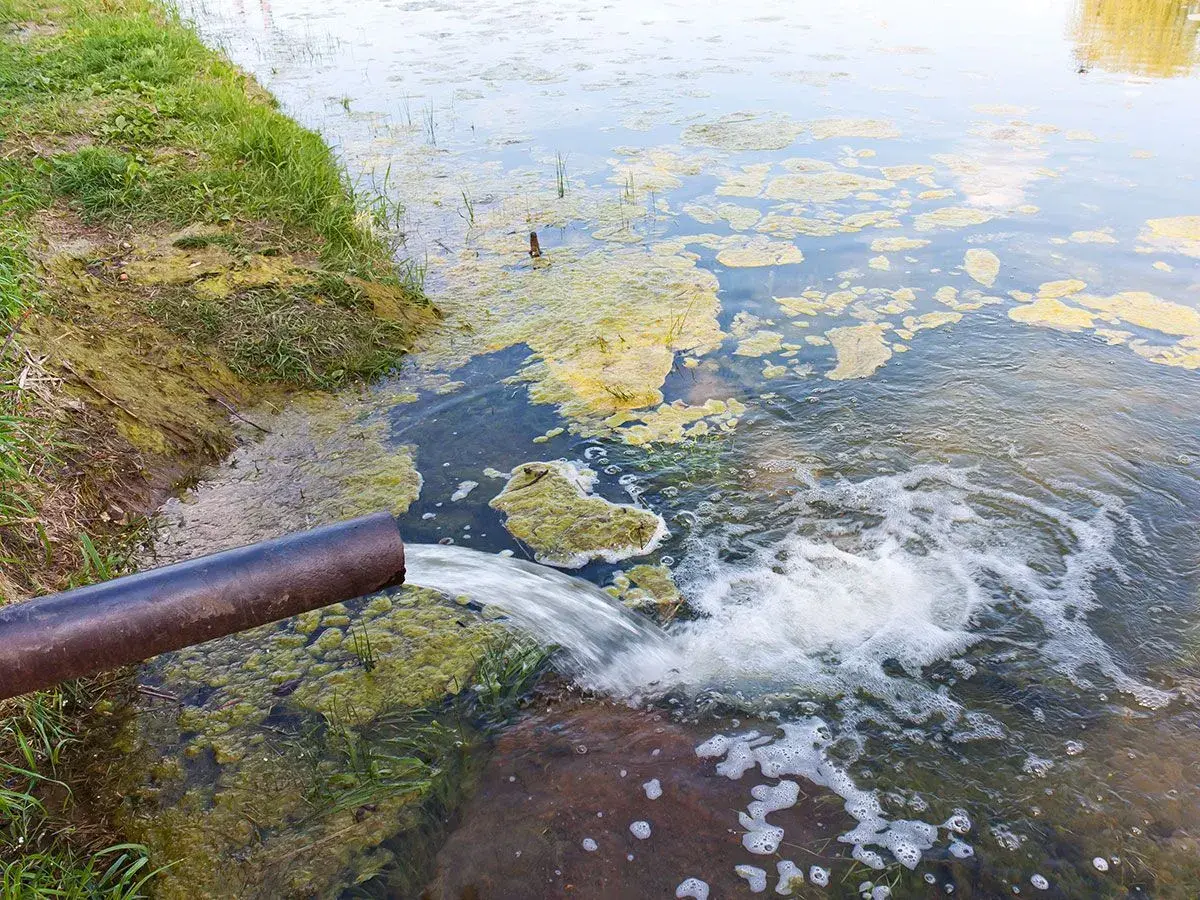 jencap-site-pollution-program jencap-site-pollution-program