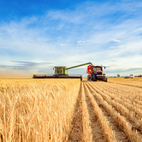 The Jencap Agriculture Insurance Team