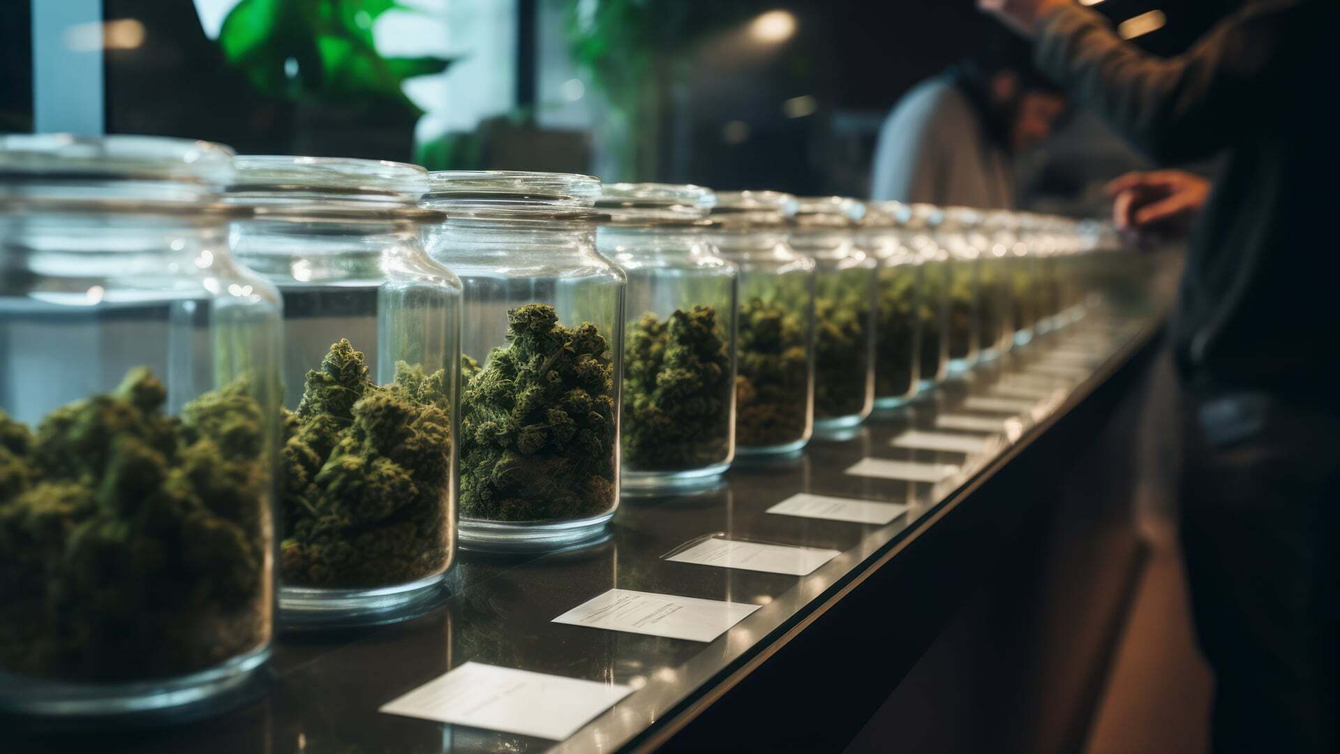Blunt Truth: 8 Cannabis Insurance Mistakes Dispensaries Should Avoid
