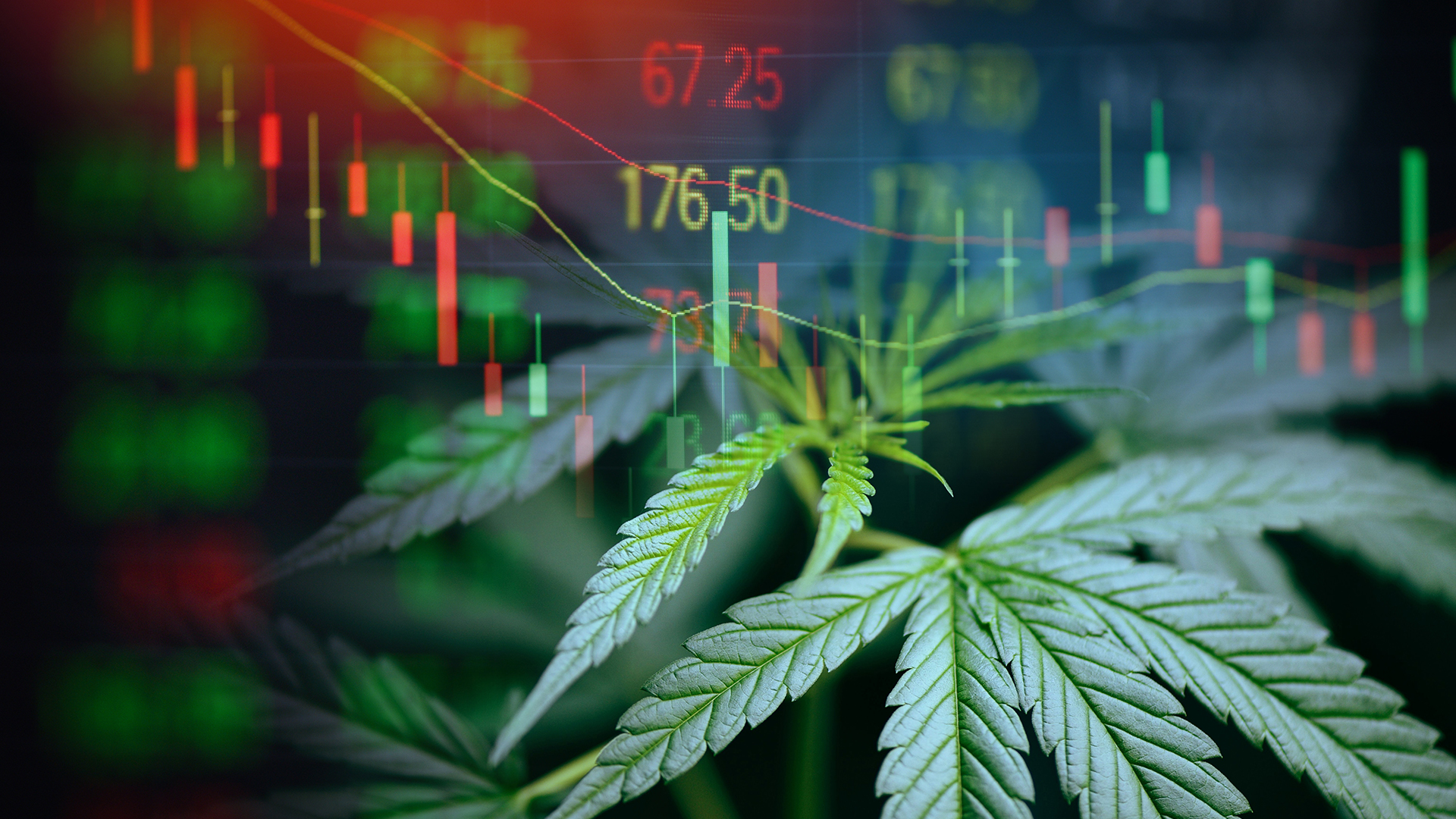Cannabis Insurance Trends: Consolidation, Margins, and Coverage Pressure