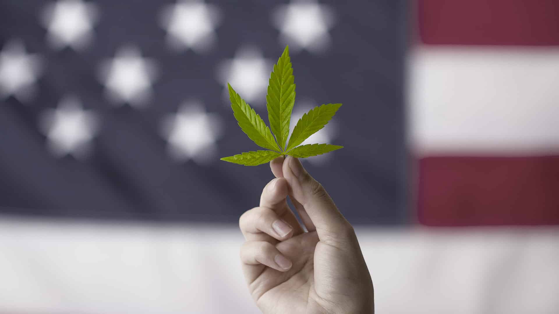 Financial Challenges Threaten Cannabis Multistate Operators